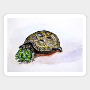 Marshal The Turtle Sticker